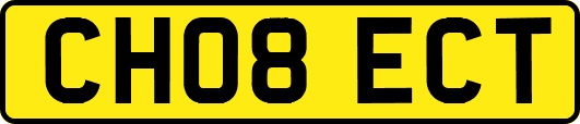 CH08ECT