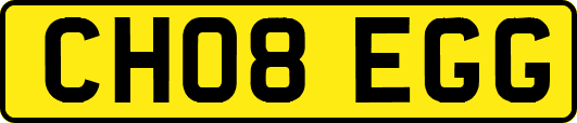 CH08EGG