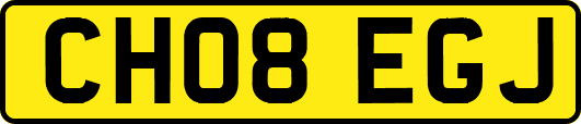 CH08EGJ