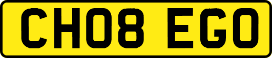 CH08EGO