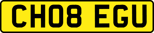 CH08EGU