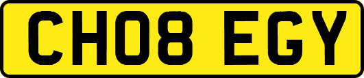 CH08EGY