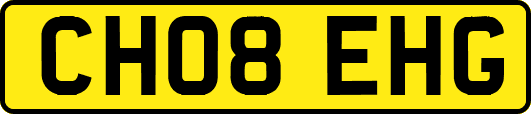 CH08EHG