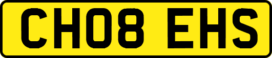 CH08EHS