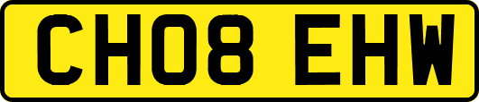 CH08EHW