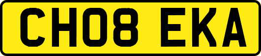 CH08EKA