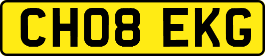 CH08EKG