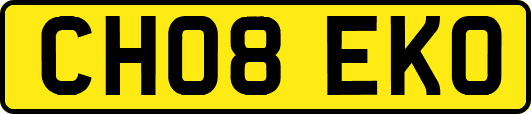 CH08EKO