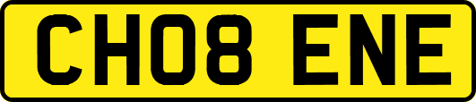 CH08ENE