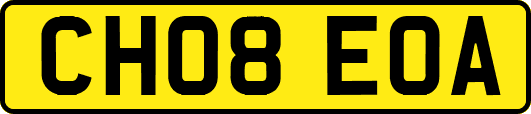 CH08EOA
