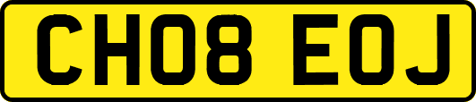 CH08EOJ
