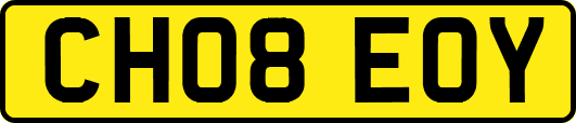 CH08EOY