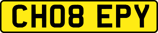 CH08EPY