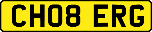 CH08ERG