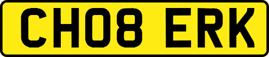 CH08ERK