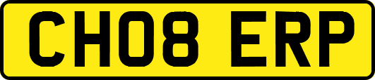 CH08ERP