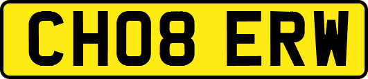 CH08ERW