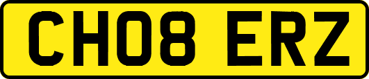 CH08ERZ