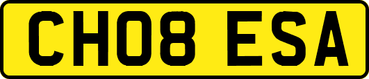 CH08ESA