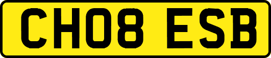 CH08ESB