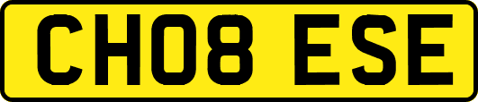 CH08ESE