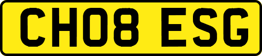 CH08ESG