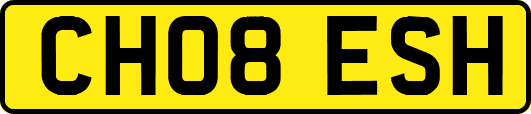 CH08ESH
