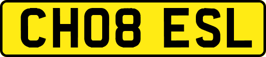CH08ESL