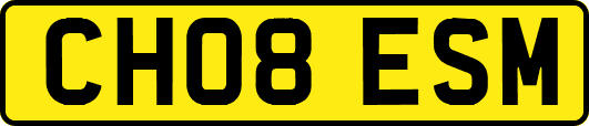 CH08ESM