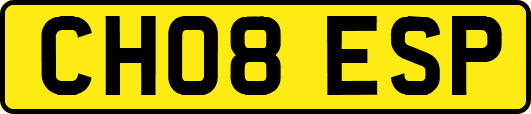 CH08ESP