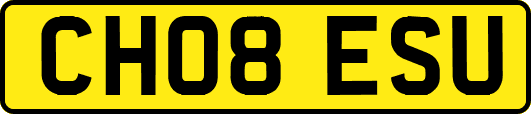 CH08ESU