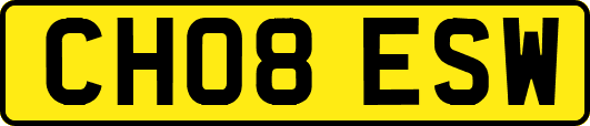CH08ESW