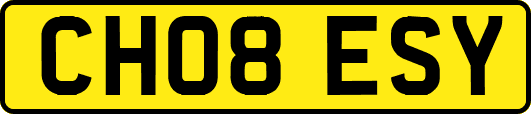 CH08ESY