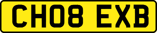 CH08EXB