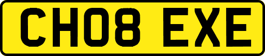 CH08EXE