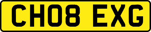 CH08EXG