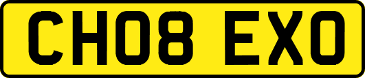 CH08EXO