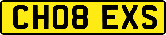 CH08EXS