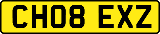 CH08EXZ