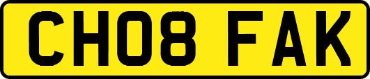 CH08FAK