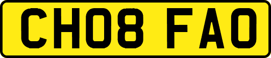CH08FAO