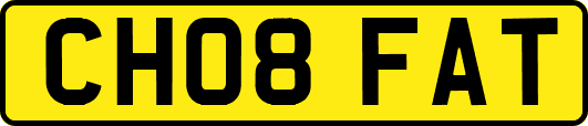 CH08FAT