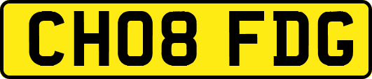 CH08FDG