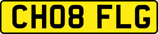 CH08FLG