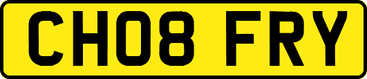 CH08FRY