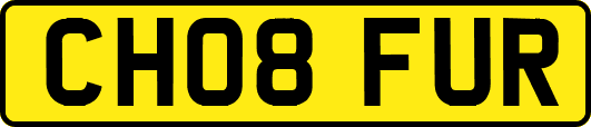 CH08FUR