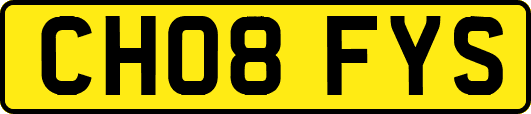 CH08FYS