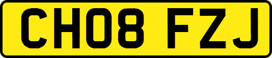 CH08FZJ