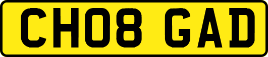 CH08GAD