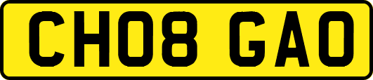 CH08GAO